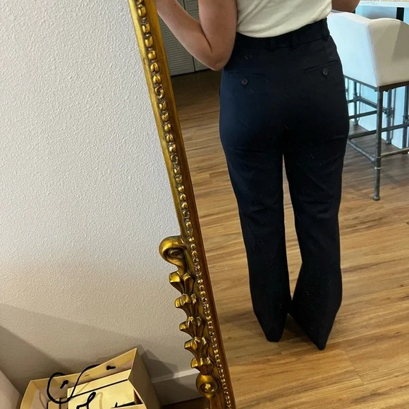 Aritzia Babaton Agency Pant - Picture 2 of 7